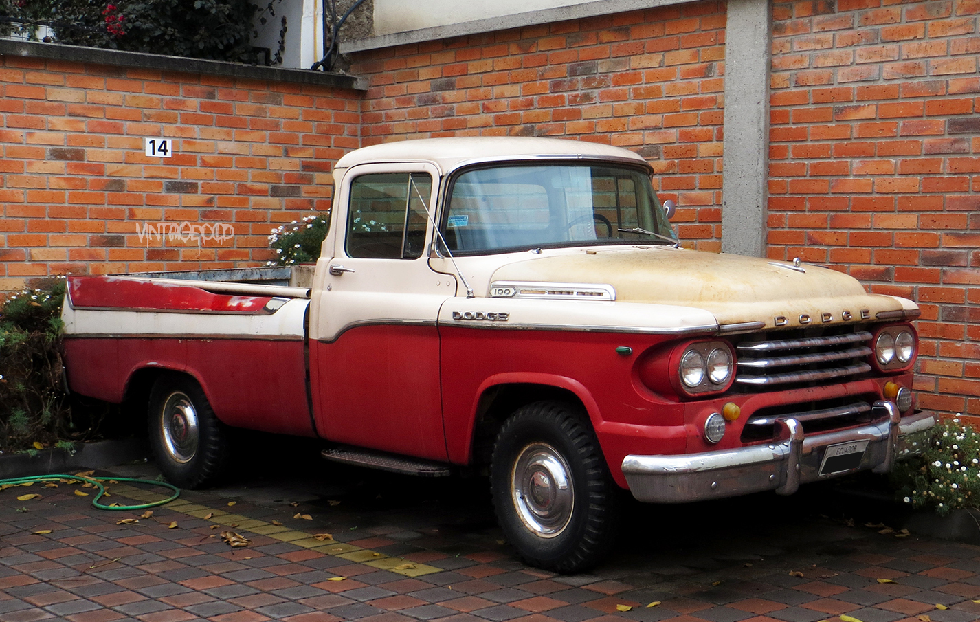 pic 1958 Dodge D100