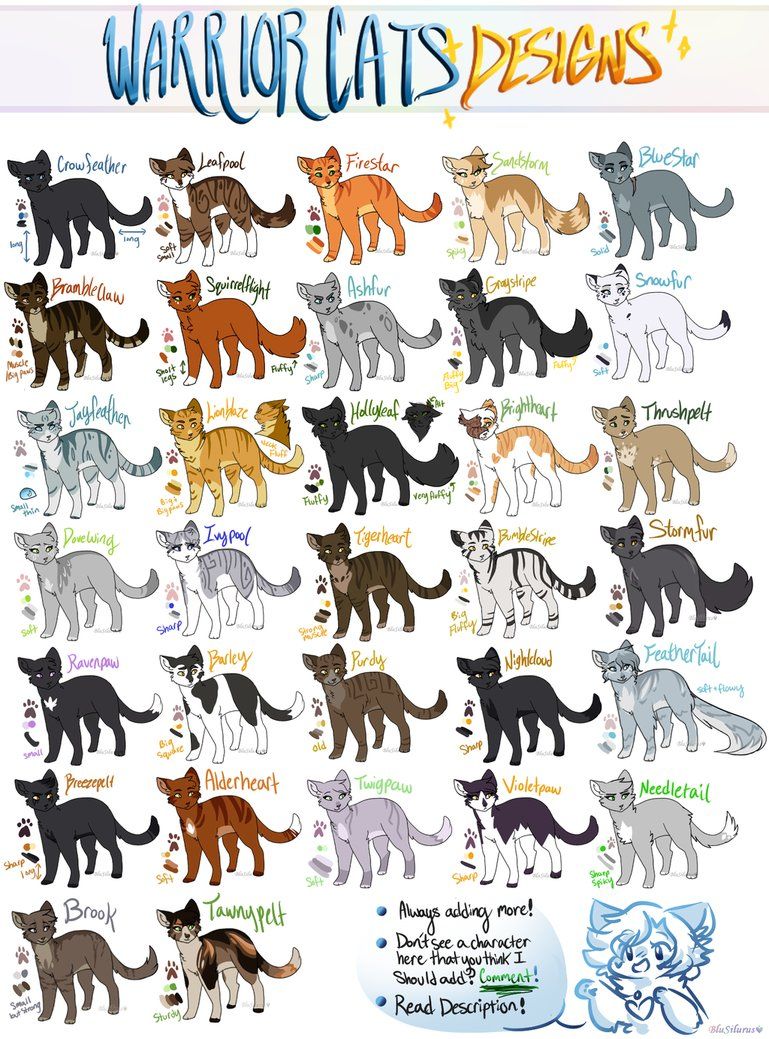 Featured image of post All Warrior Cats Characters