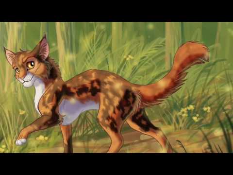 wallpapers All Warrior Cats Characters