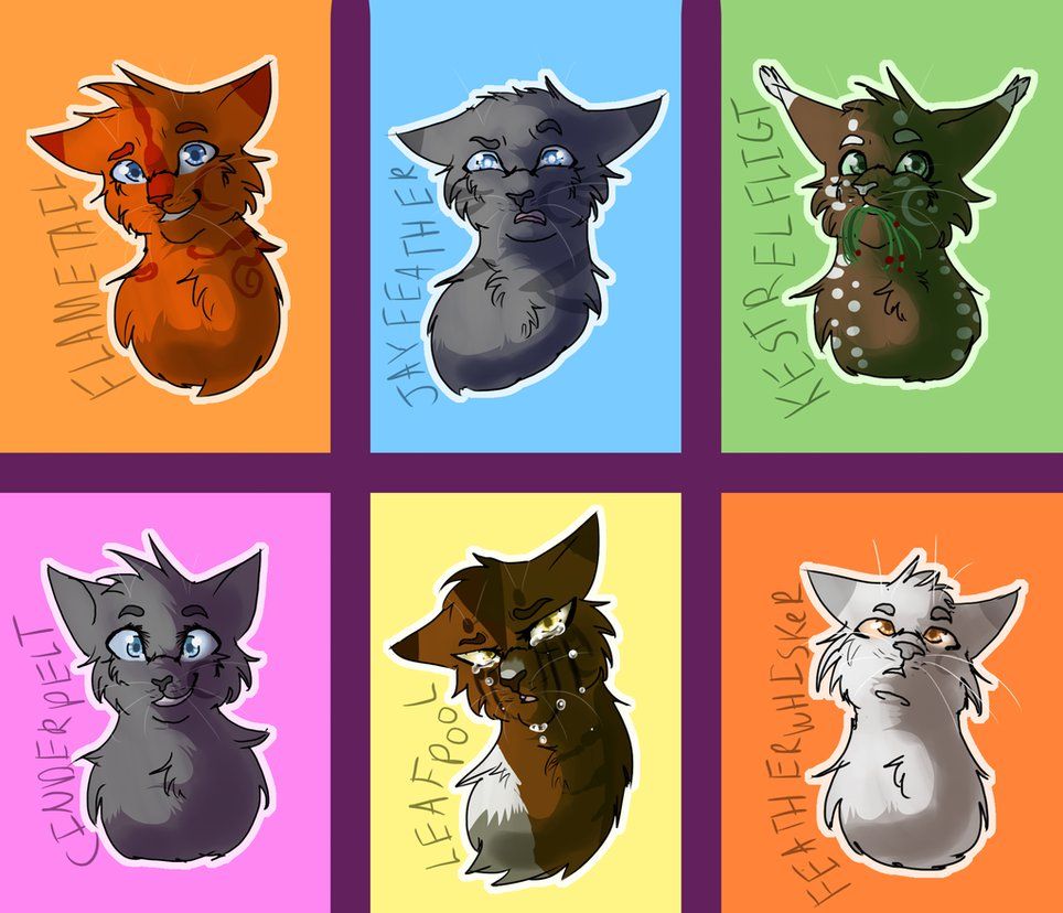 images All Warrior Cats Characters