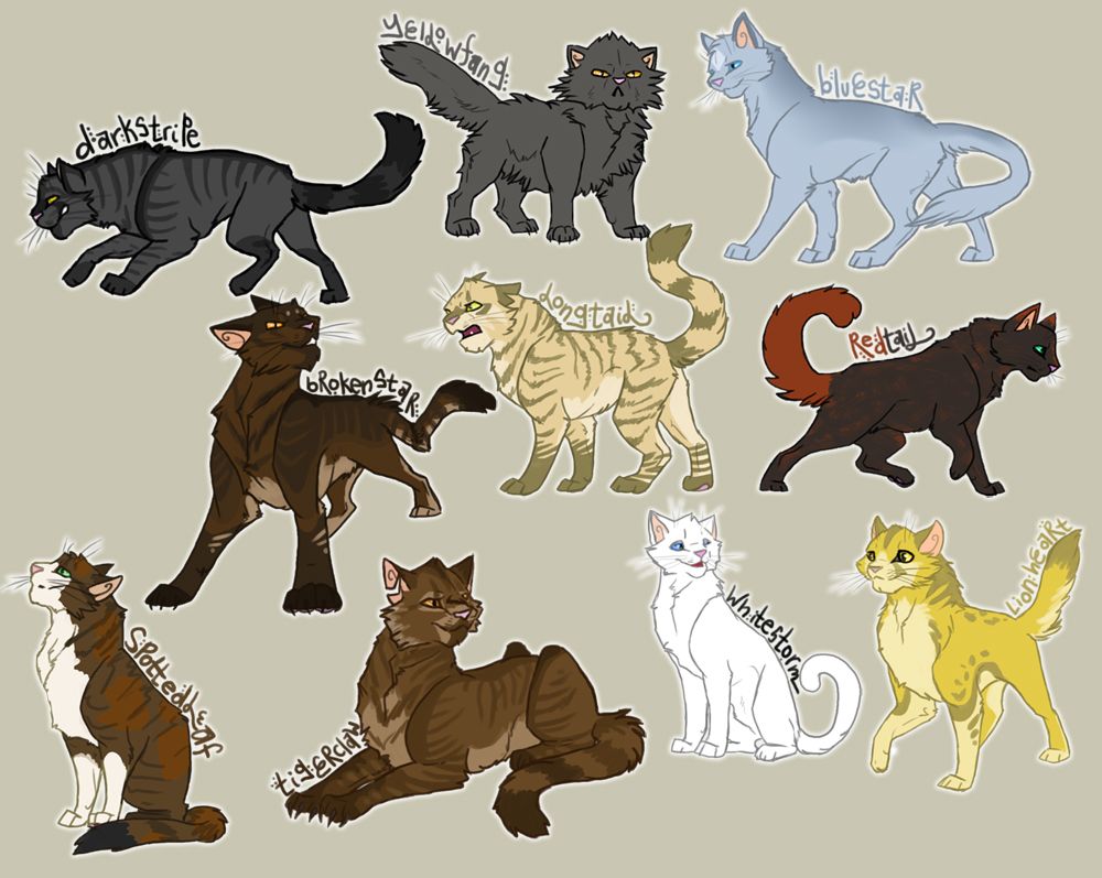 photo All Warrior Cats Characters