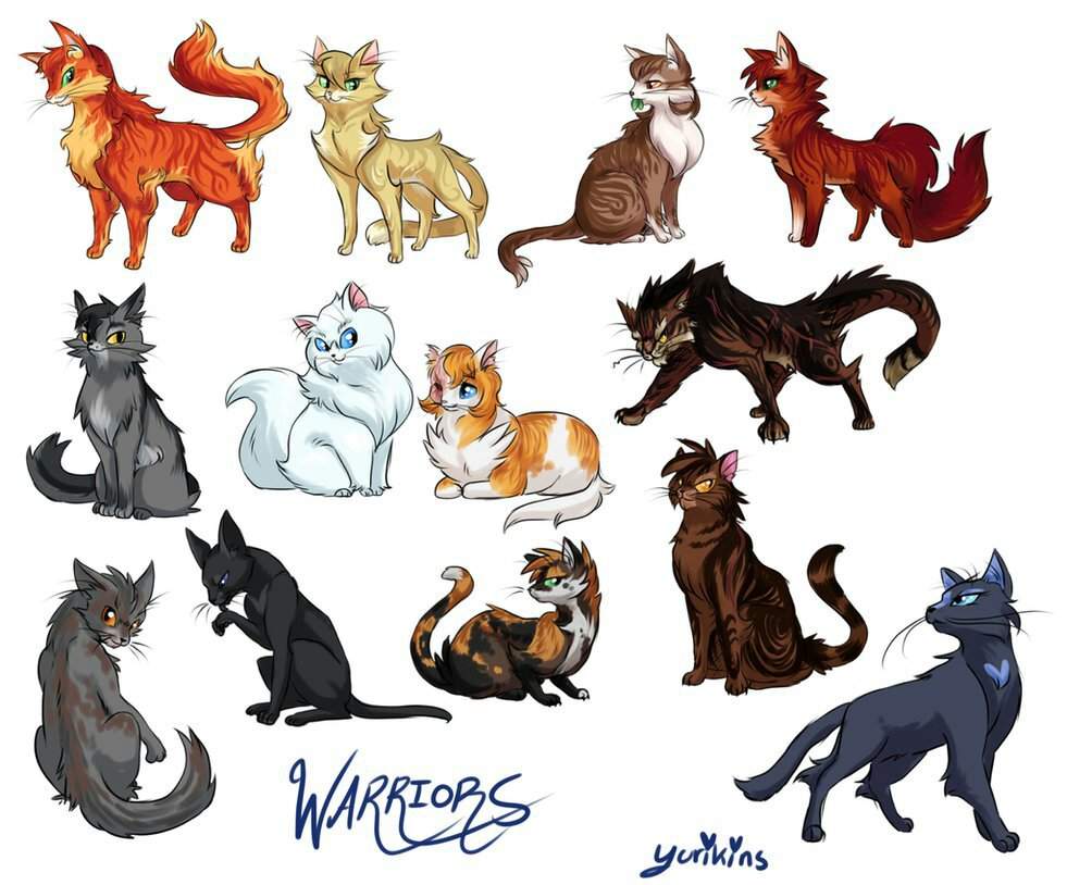 photo All Warrior Cats Characters