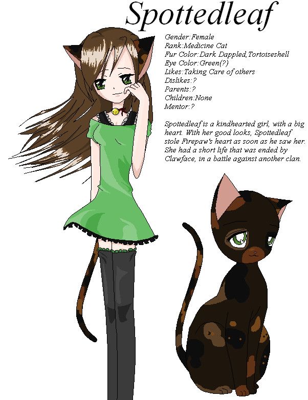 photo Anime Warrior Cats Characters