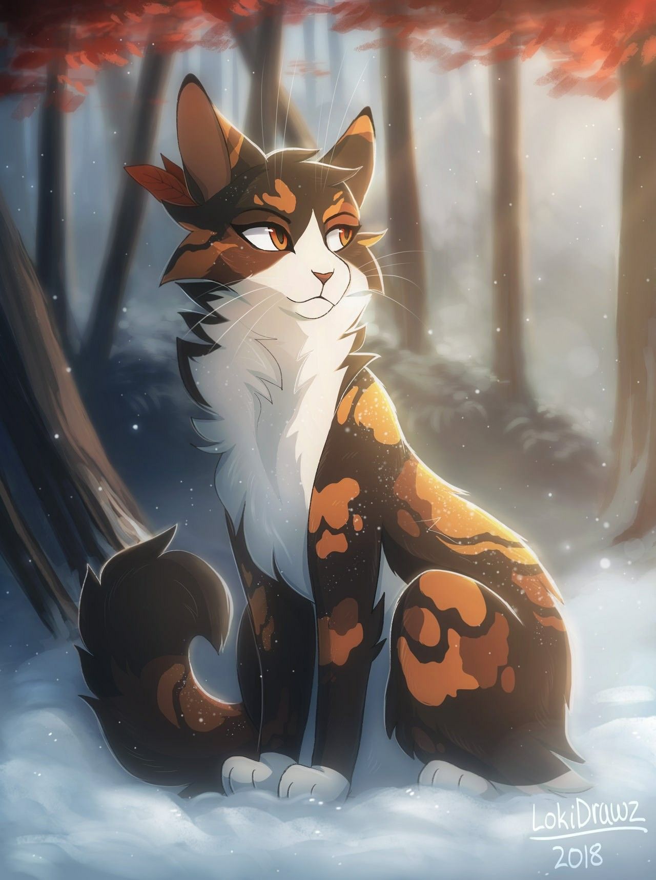 images Anime Warrior Cats Characters