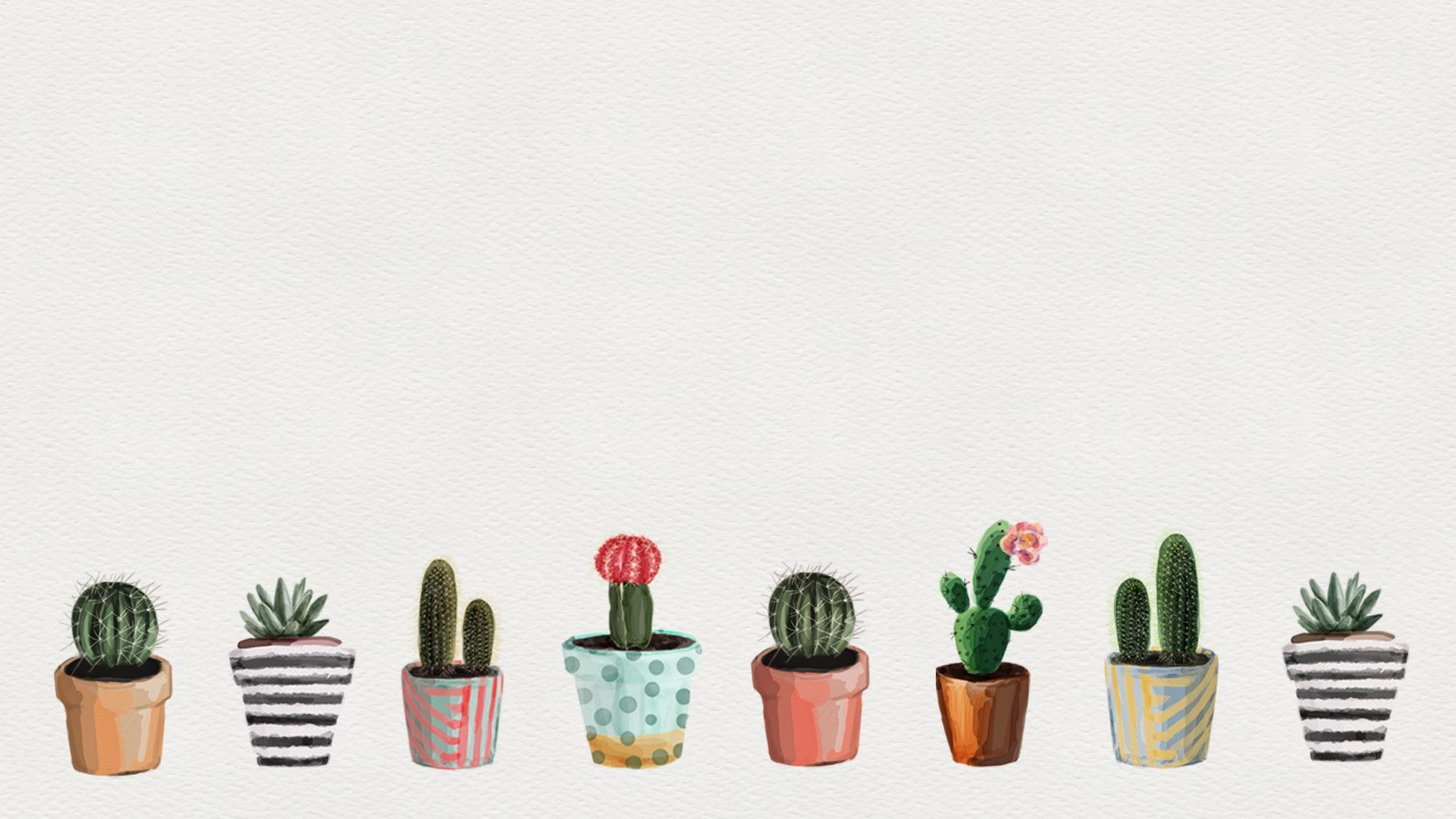 Featured image of post Background Cactus Laptop Wallpaper