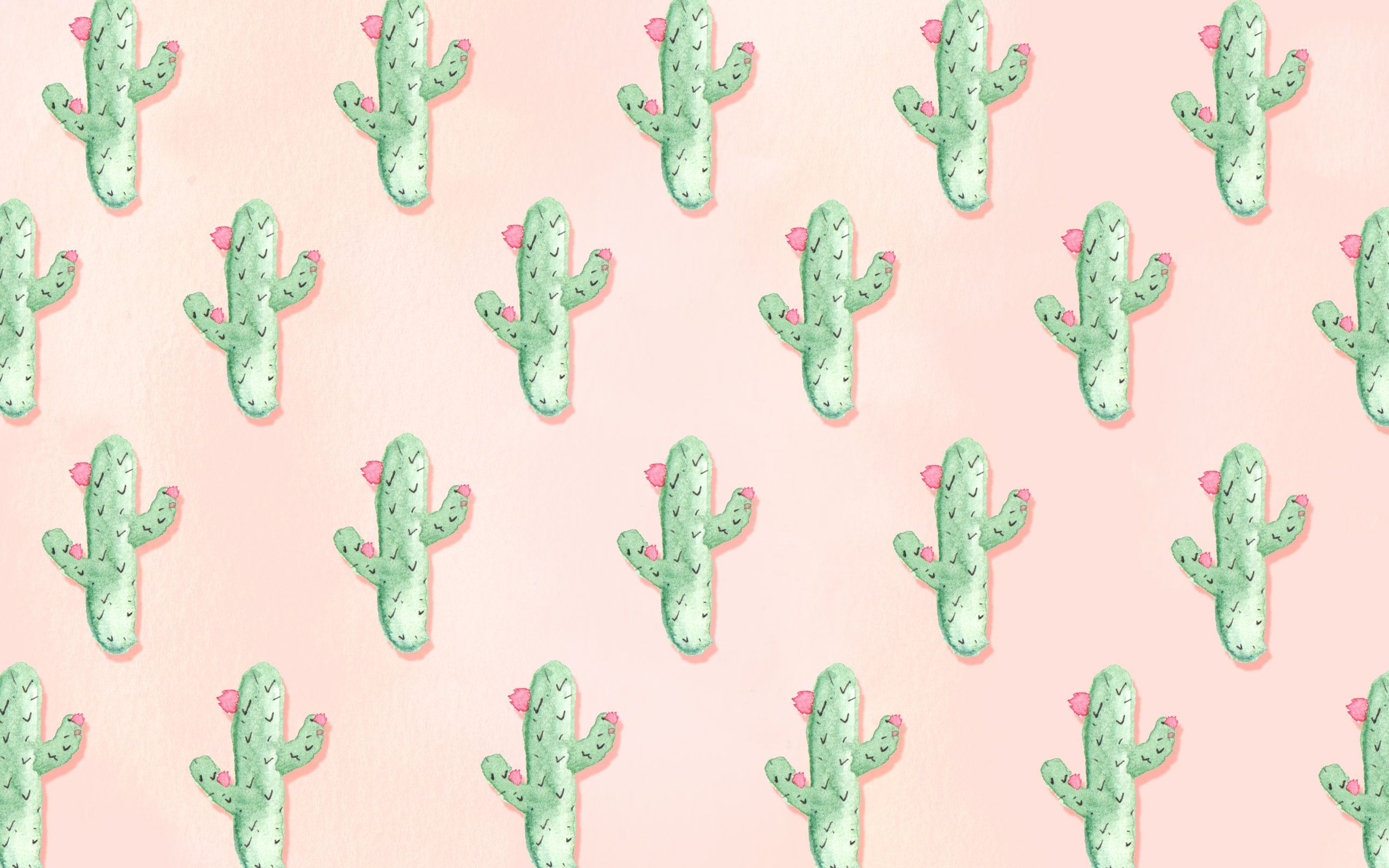 pix Background Cactus Laptop Wallpaper