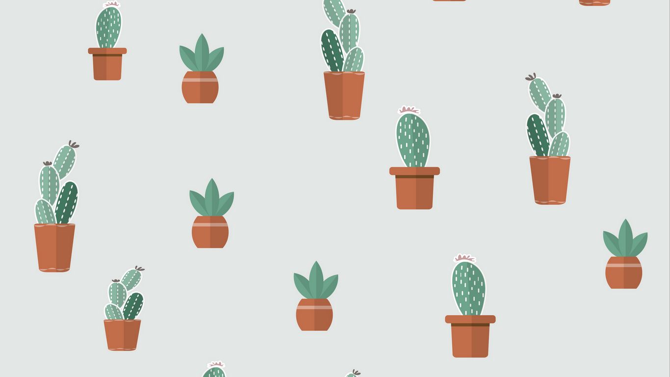 picture Background Cactus Laptop Wallpaper