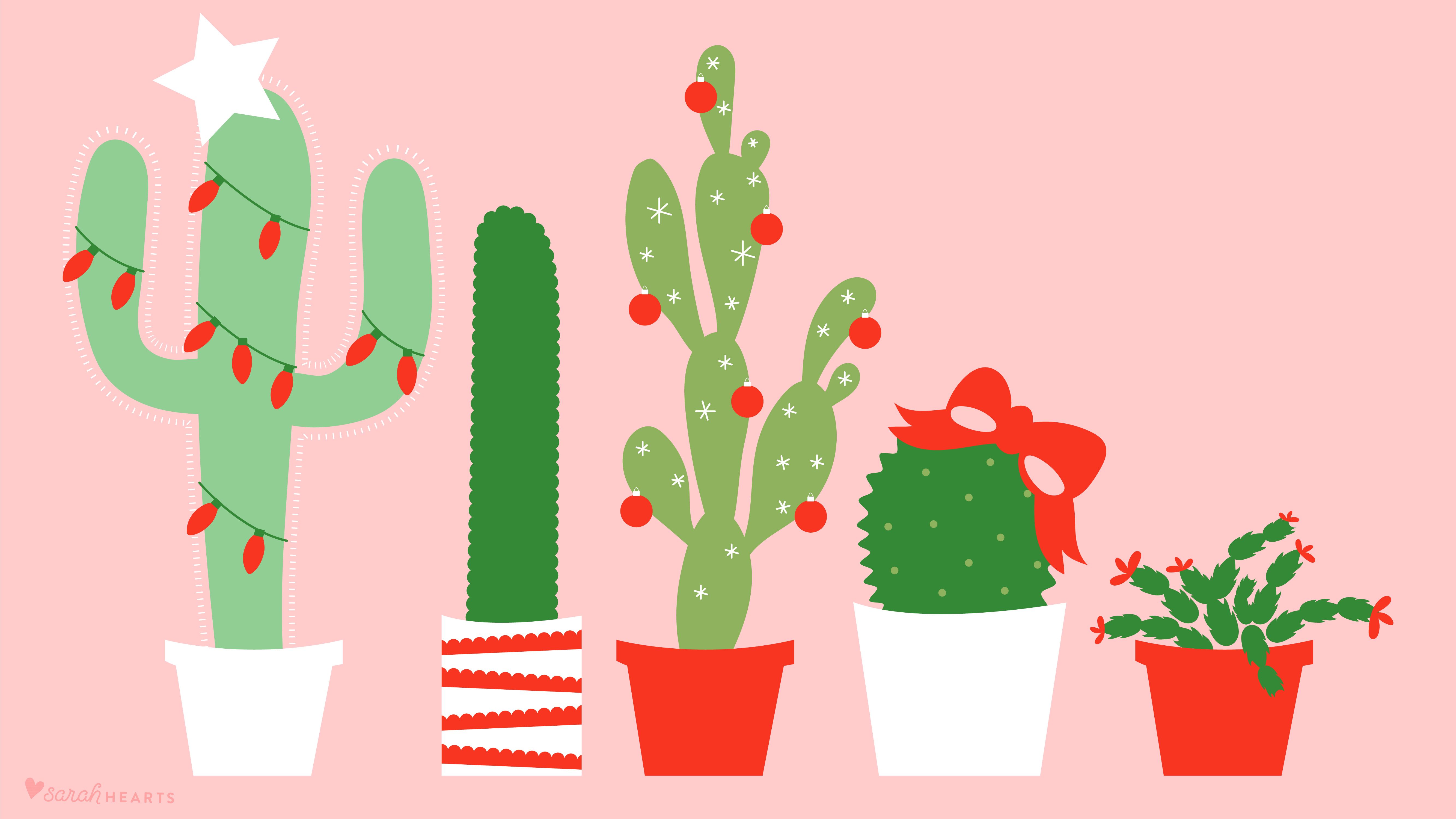 pic Background Cactus Laptop Wallpaper