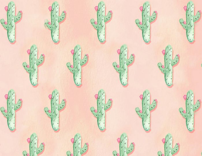 picture Background Cactus Pictures