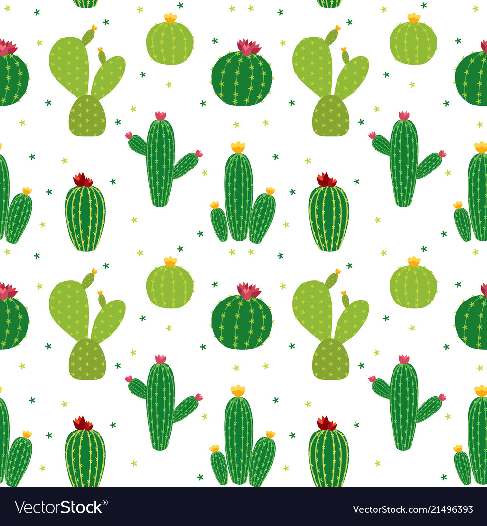 pic Background Cactus Pictures