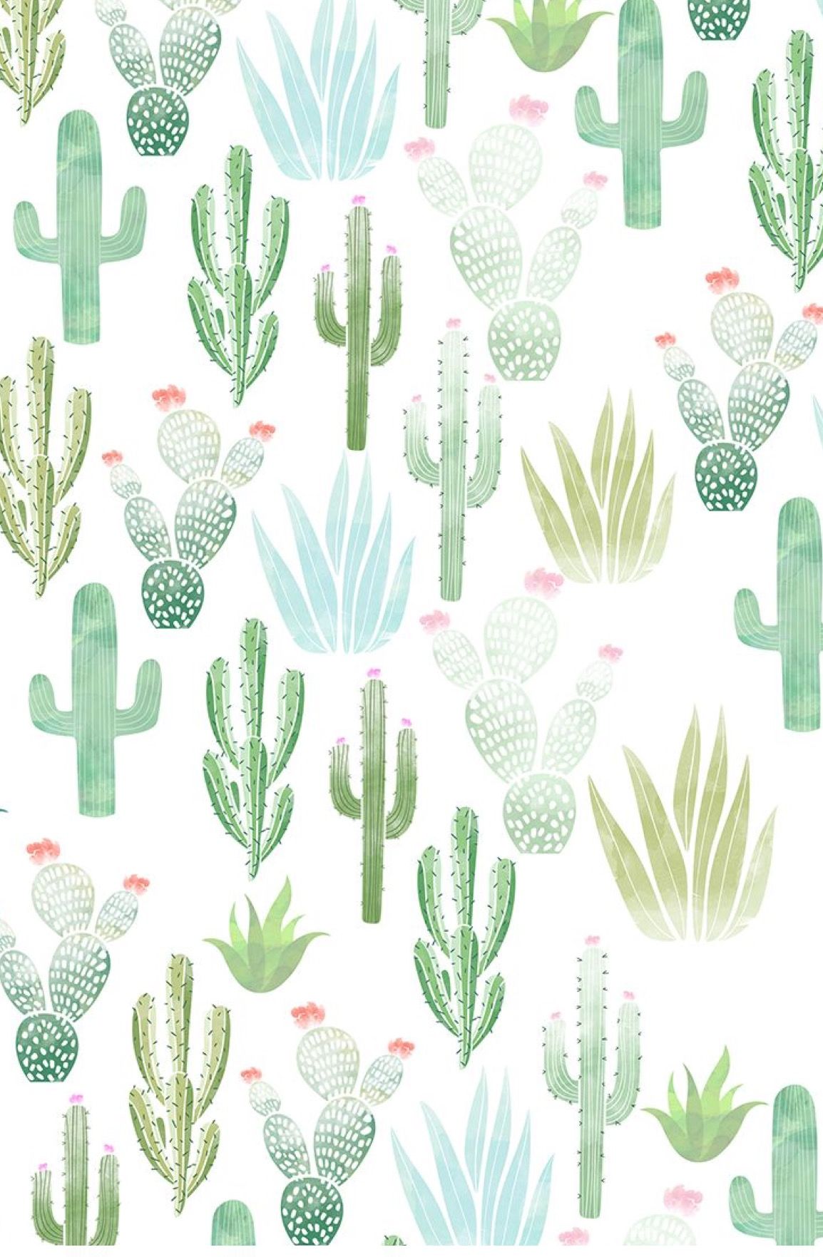 pic Background Cactus Pictures