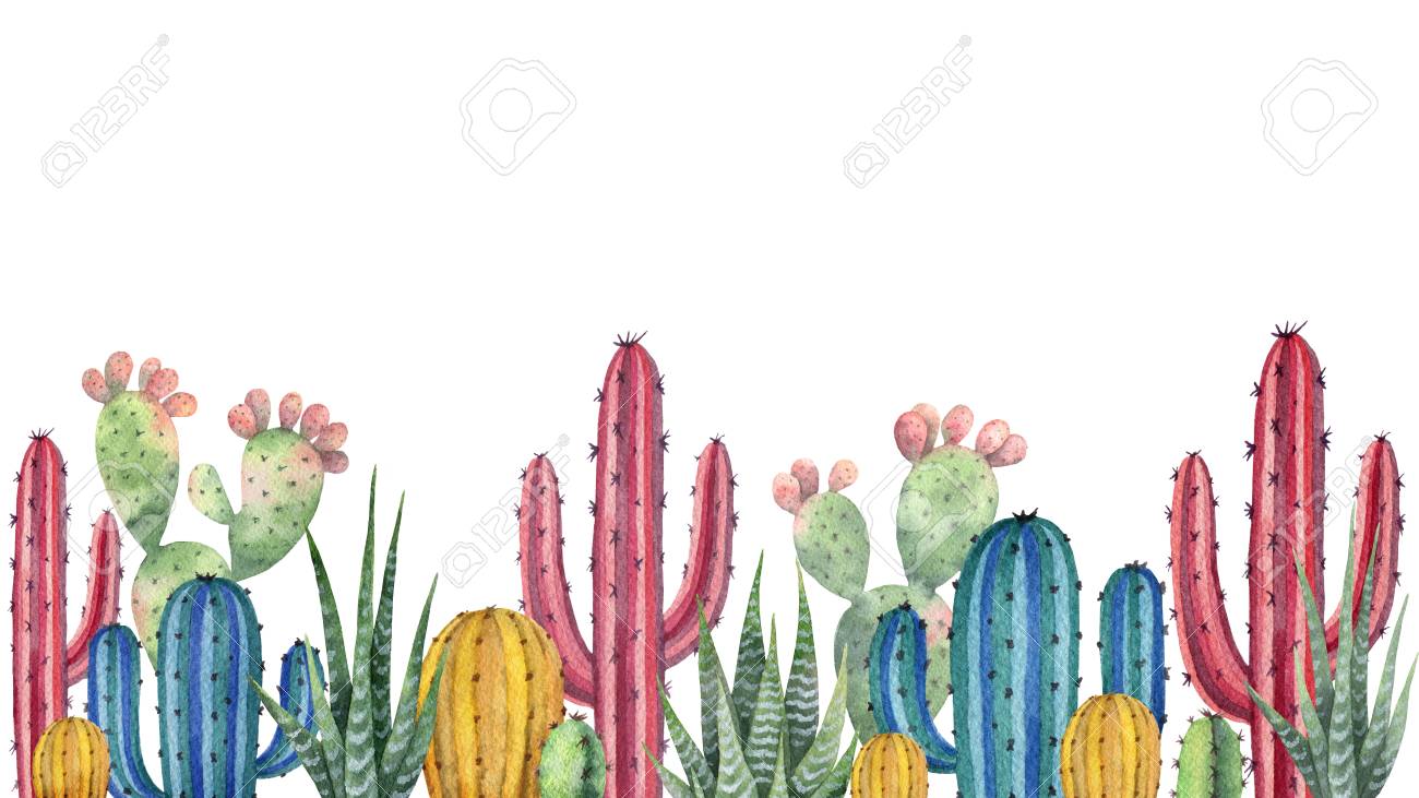 pix Background Cactus Pictures