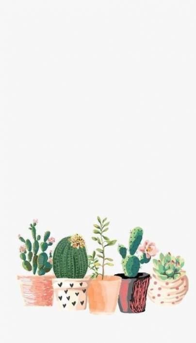 images Background Cactus Pictures