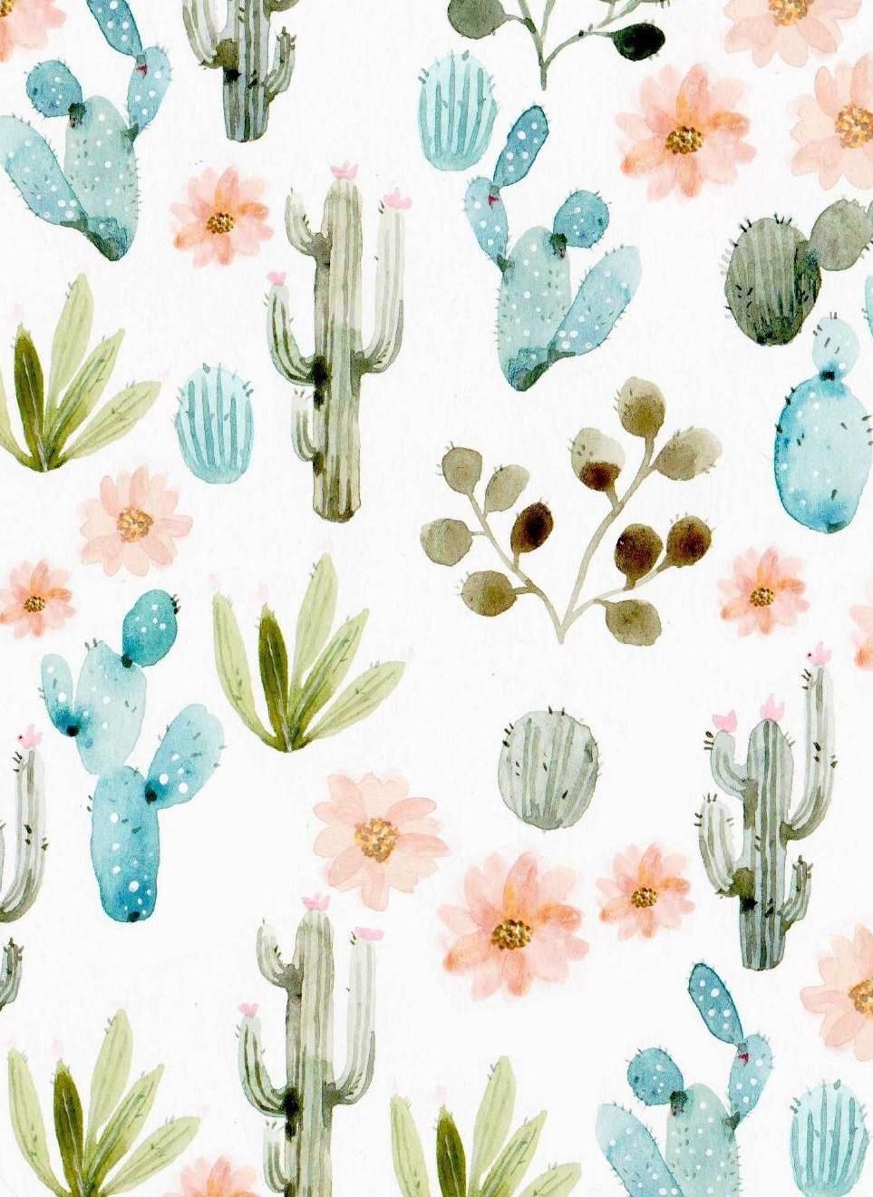 pics Background Cactus Wallpapers