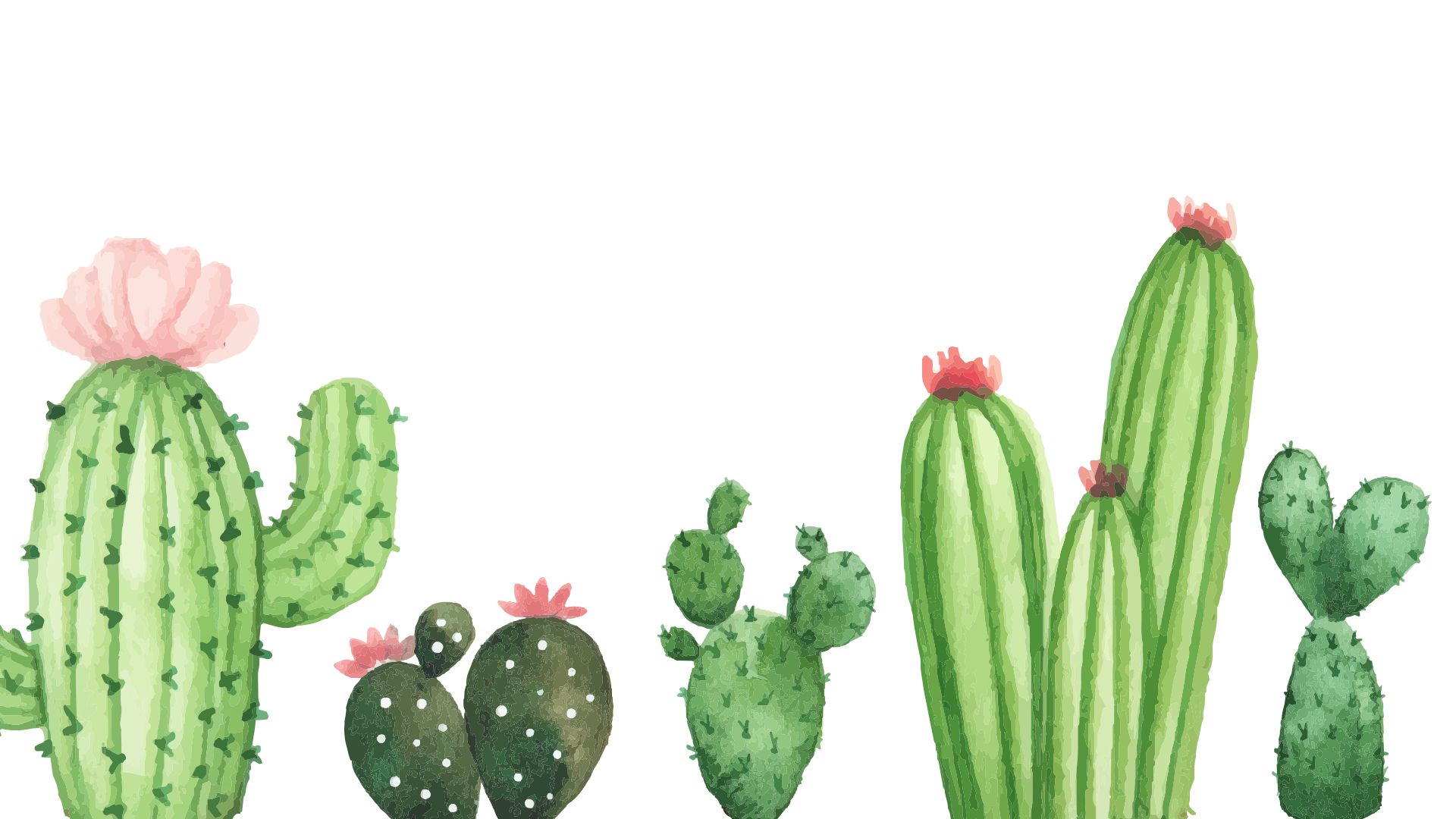 images Background Cactus Wallpapers