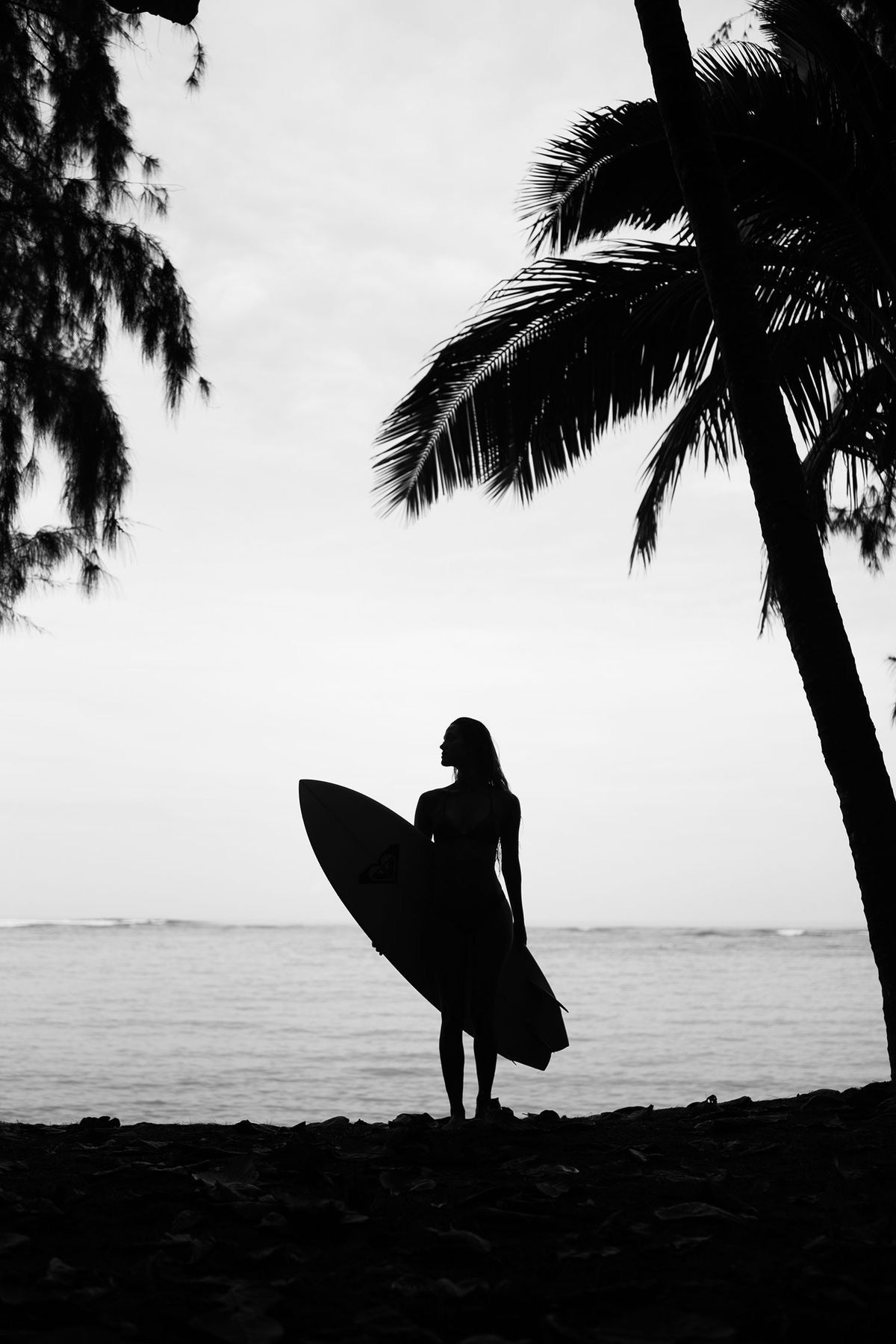 picture Beach Surf Black And White