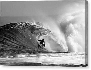 wallpapers Black And White Surf Prints