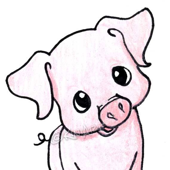 picture Cute Easy Drawings Of Pigs