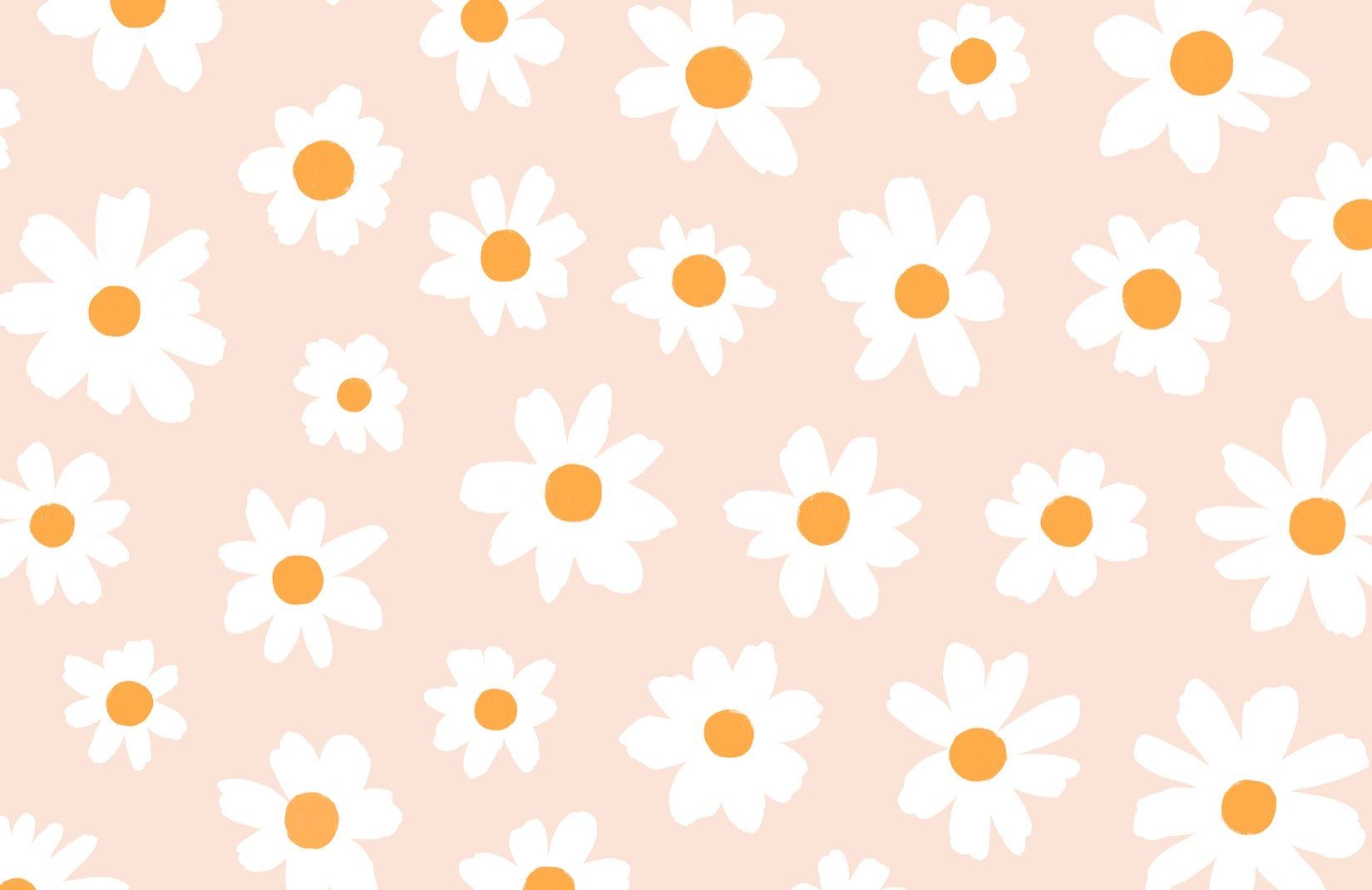 photo Daisy Wallpaper For Computer