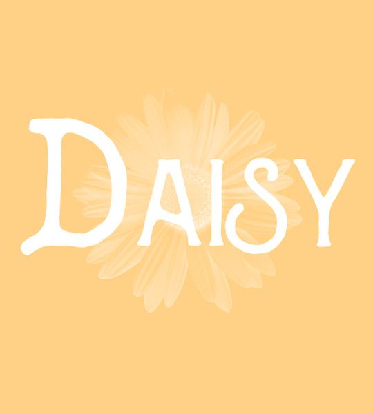 wallpapers Daisy Wallpaper Name