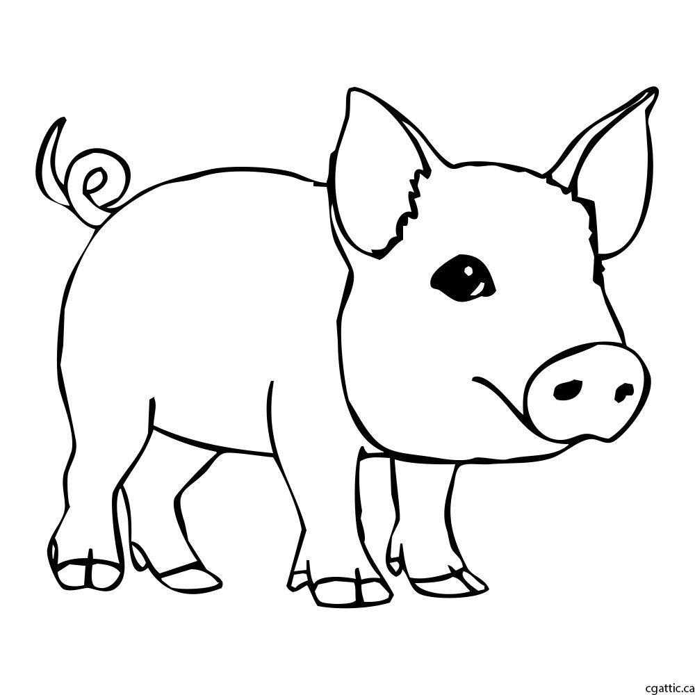 picture Drawings Of Pigs