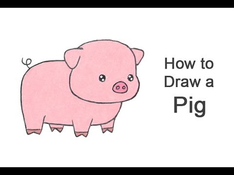 pics Drawings Of Pigs