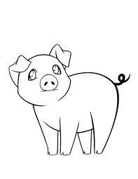 pics Drawings Of Pigs