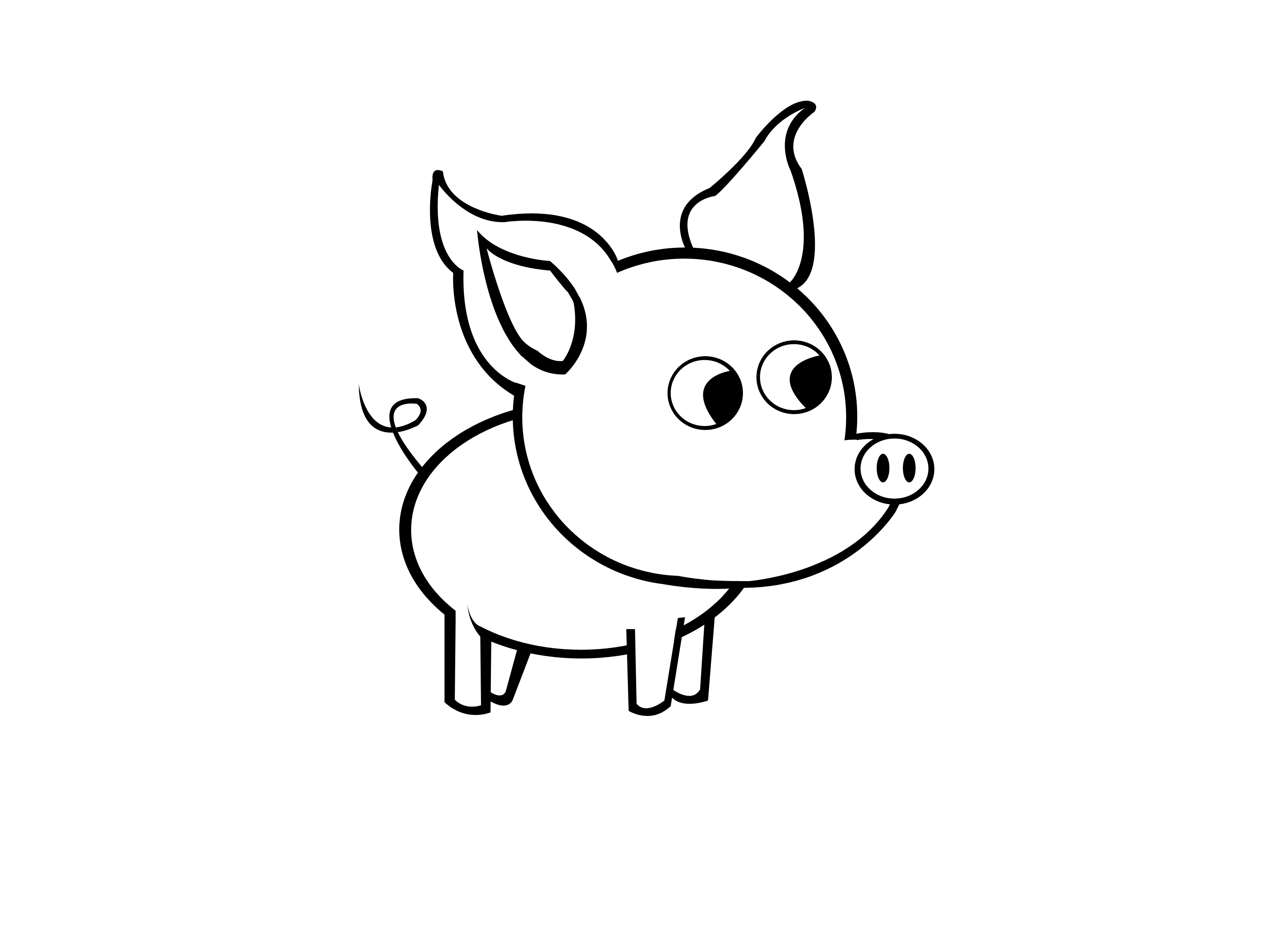 images Drawings Of Pigs