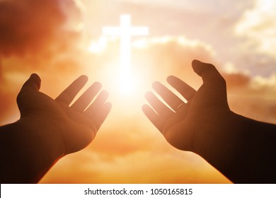 Featured image of post God&#039;s Open Hands Images