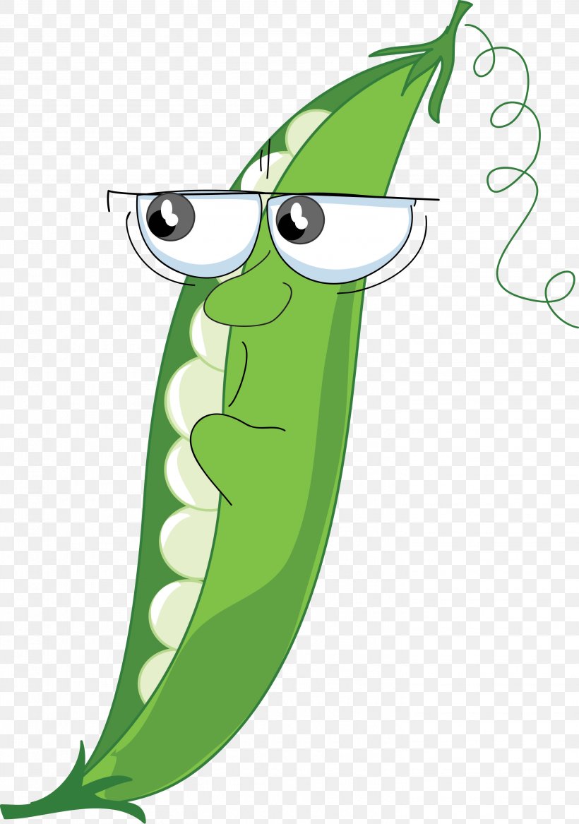 wallpapers Green Bean Cartoon Png