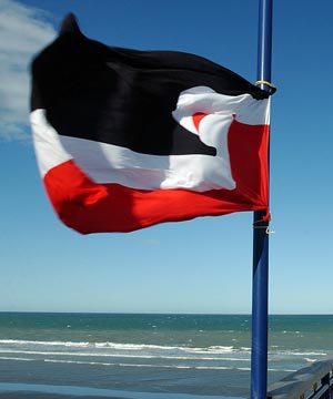 photo Maori Flag Meaning