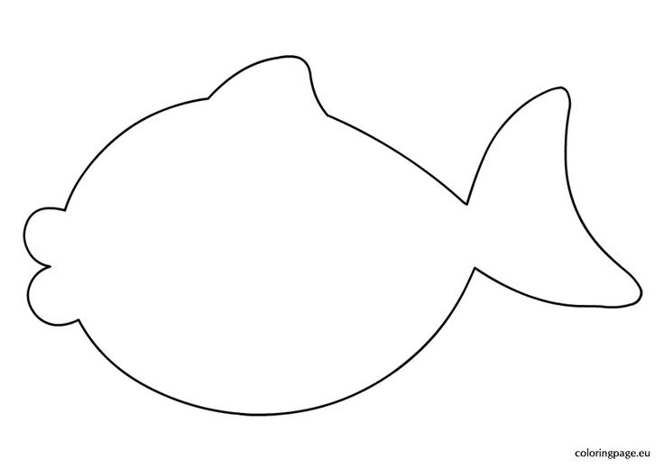 picture Printable Fish Outline Images