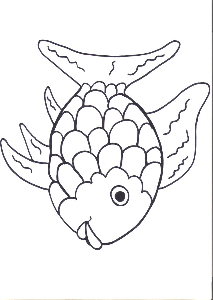 images Rainbow Fish Printable Fish Outline