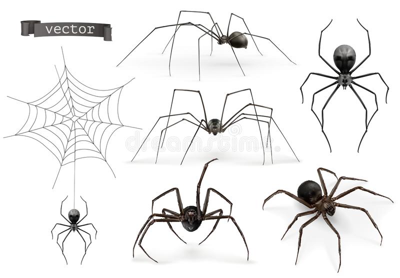 images Realistic Spider Illustration