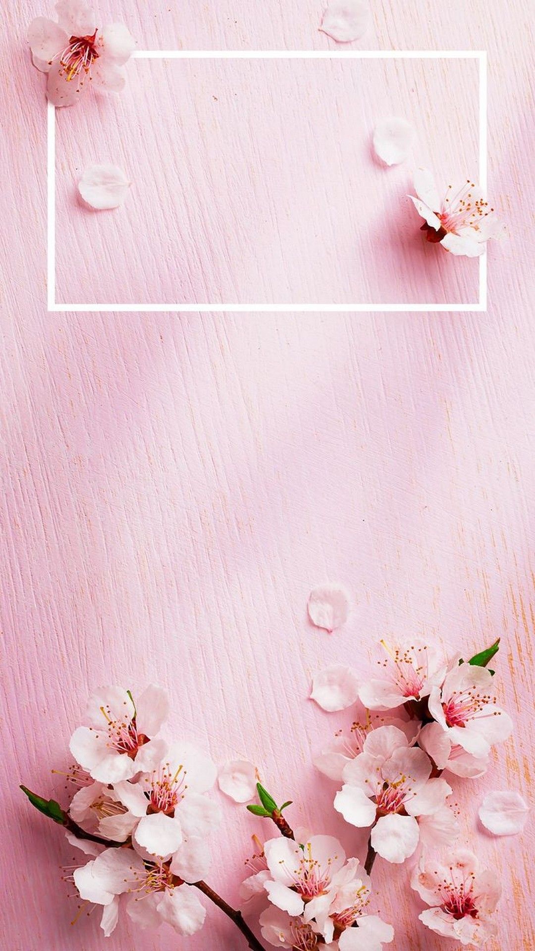 images Rose Gold Lock Screen Cute Wallpapers For Iphone