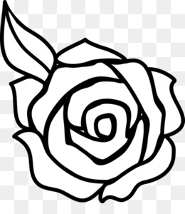 images Rose Png Outline