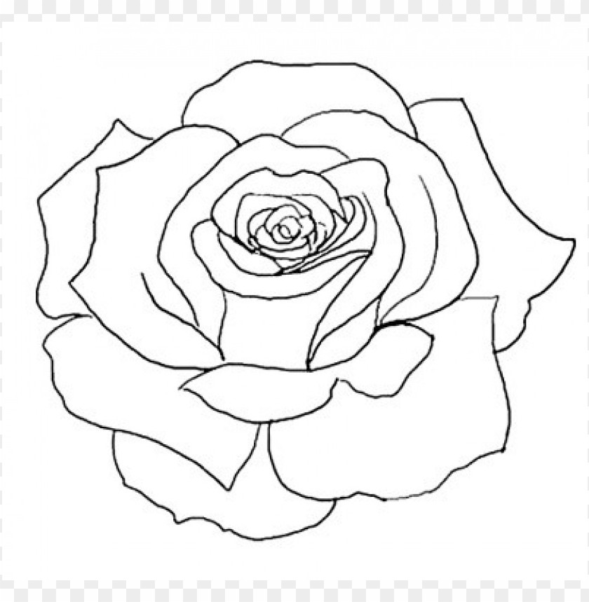 pix Rose Png Outline