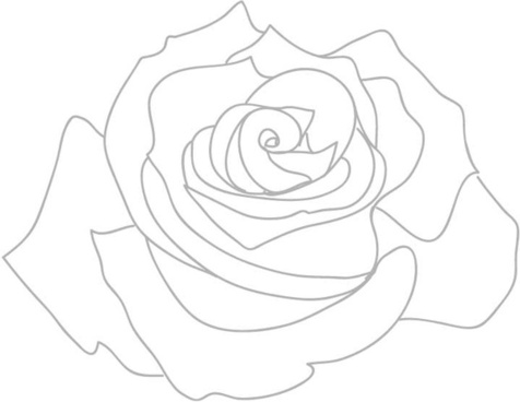 images Rose Png Outline