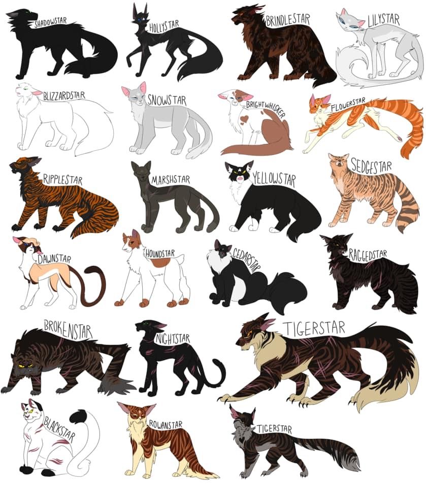 Featured image of post Shadowclan Warrior Cats Characters