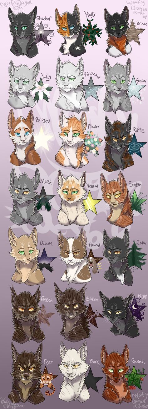 pics Shadowclan Warrior Cats Characters