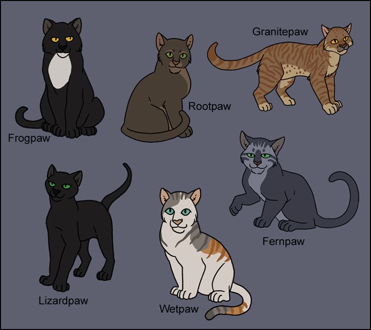 images Shadowclan Warrior Cats Characters