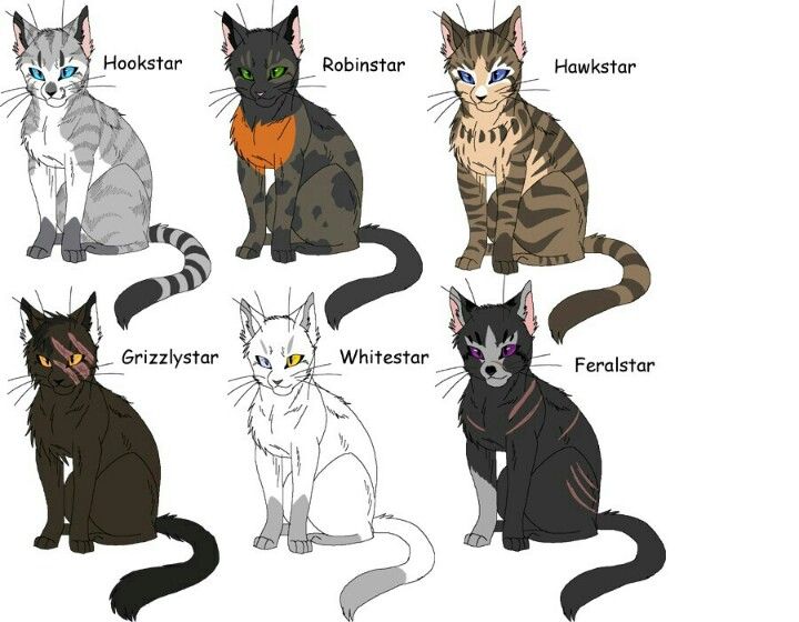 picture Shadowclan Warrior Cats Characters