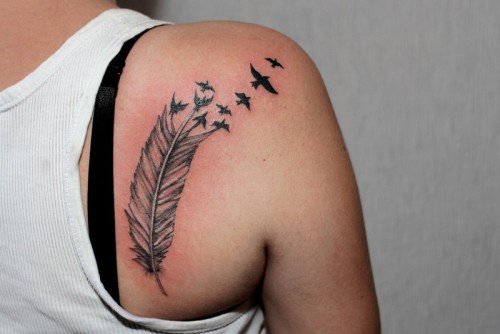 pics Shoulder Feather And Bird Tattoo