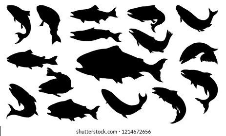 pix Silhouette Printable Fish Outline