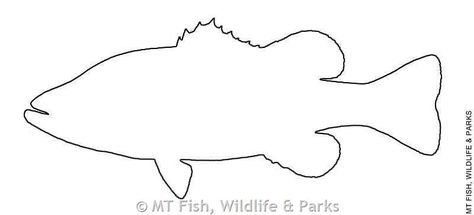 pix Silhouette Printable Fish Outline