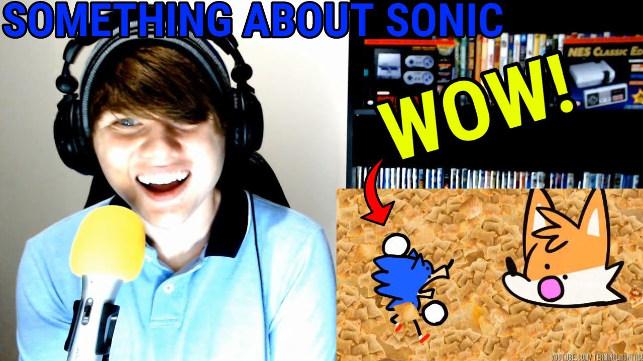 images Something About Sonic The Hedgehog Terminalmontage