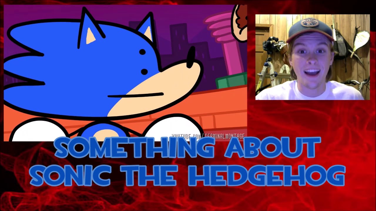 photo Something About Sonic The Hedgehog