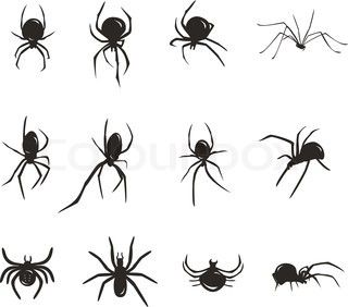 Featured image of post Spider Illustration Tattoo