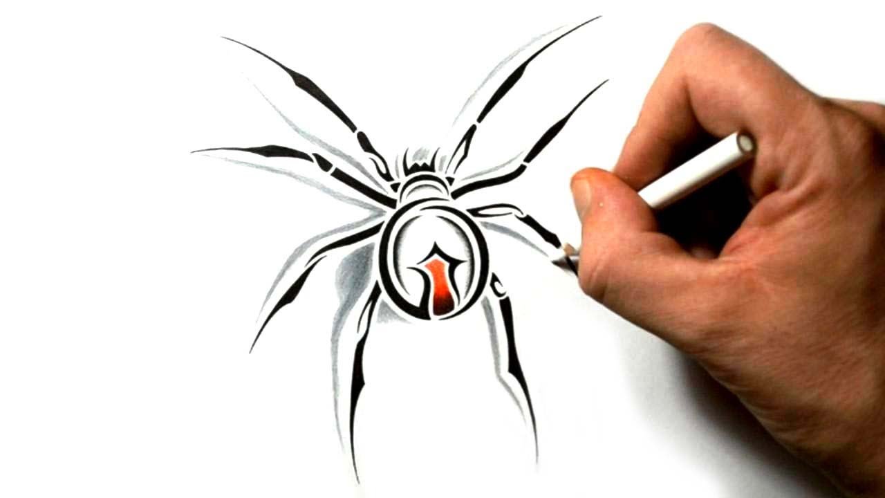 pics Spider Illustration Tattoo