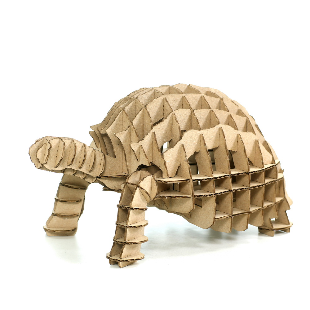 pics Turtle 3D Puzzle